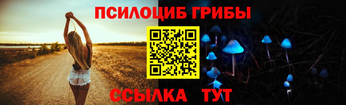 Псилоцибиновые грибы прущие грибы  Вход с VPN  Хасавюрт 